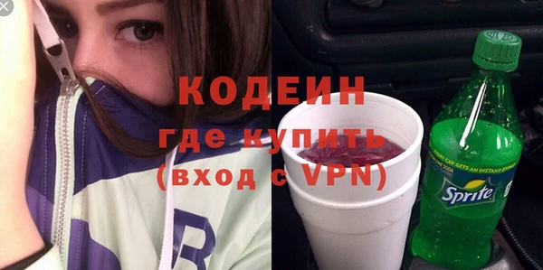 шишки Богородицк