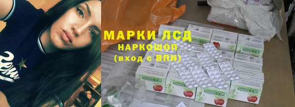 прущий лед Богданович