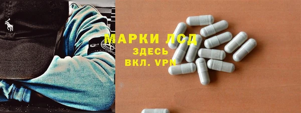 шишки Богородицк
