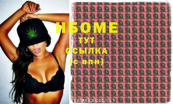 прущий лед Богданович