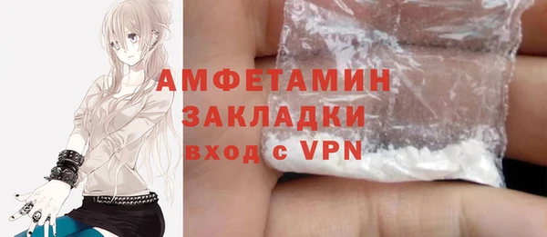 шишки Богородицк