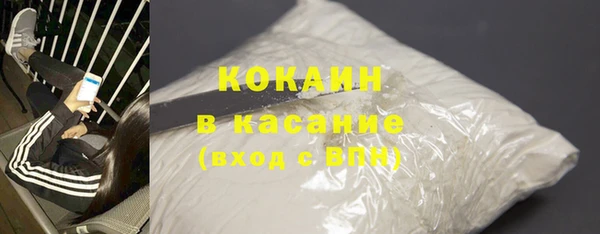 шишки Богородицк