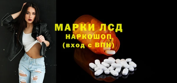 прущий лед Богданович