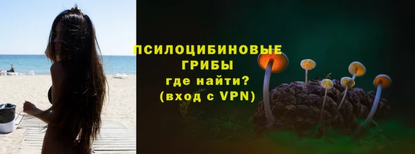 дурь Богородск