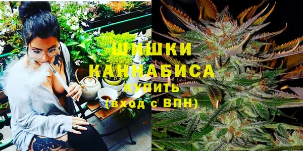 прущий лед Богданович