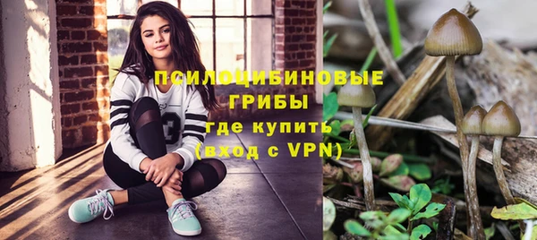 шишки Богородицк