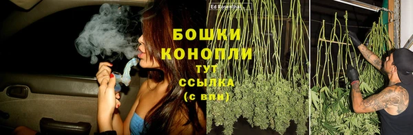 прущий лед Богданович