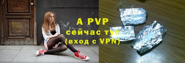 прущий лед Богданович