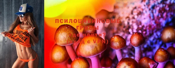 прущий лед Богданович