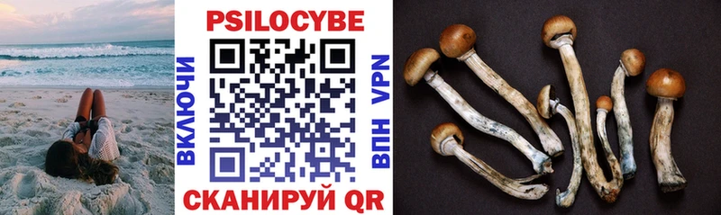 Псилоцибиновые грибы Psilocybe  Купить  Светлый 